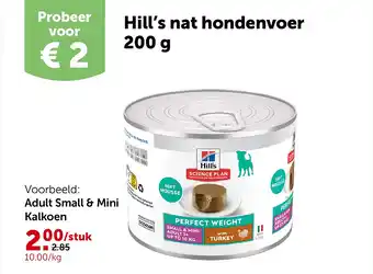 Adult Small & Mini Kalkoen