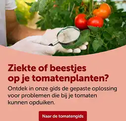 AVEVE Ziekte of beestjes op je tomatenplanten? aanbieding