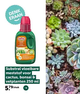 AVEVE Substral vloeibare meststof voor cactus, bonsai & vetplanten 250 ml aanbieding