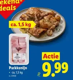 Lidl Parkkonijn aanbieding