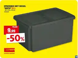 Hubo OPBERGBOX MET DEKSEL “NESTA” 51 L aanbieding