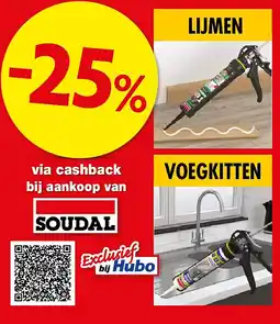 Hubo via cashback bij aankoop van aanbieding