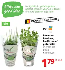 Spar Bio Munt, Bieslook, Basilicum of Peterselie aanbieding