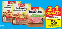 Carrefour Gamma Herta aanbieding