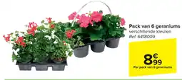 Carrefour Geraniums aanbieding