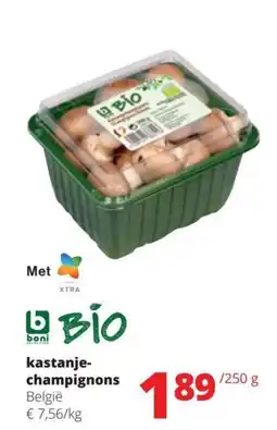 Spar Kastanje champignons aanbieding