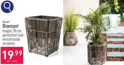 ALDI Belavi Bloempot aanbieding