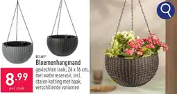 ALDI Belavi Bloemenhangmand aanbieding