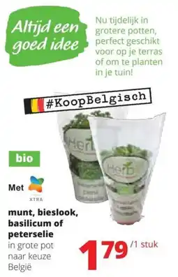 Spar Munt, bieslook, basilicum of peterselie aanbieding