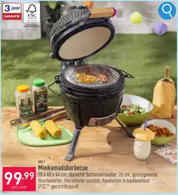ALDI Bbq Minikamadobarbecue aanbieding