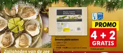Lidl Zeeuwse platte oesters aanbieding