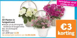 Albert Heijn AH Planten in hengselmand aanbieding