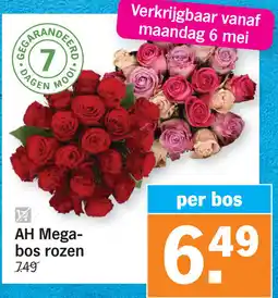 Albert Heijn AH Mega bos rozen aanbieding