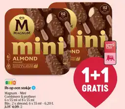 Delhaize IJs op een stokje Magnum Mini aanbieding