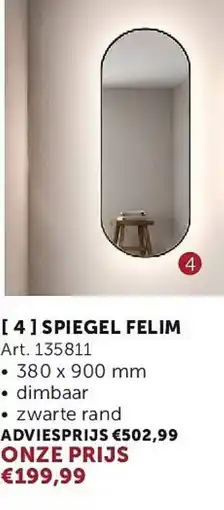 Zelfbouwmarkt Spiegel felim aanbieding