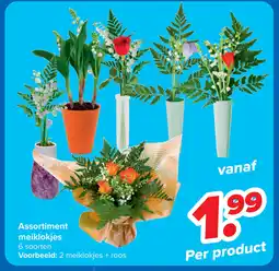 Carrefour Assortiment meiklokjes aanbieding