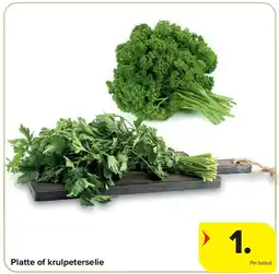 Carrefour Platte of krulpeterselie REF. :1426485 aanbieding