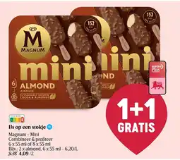 Delhaize IJs op een stokje aanbieding