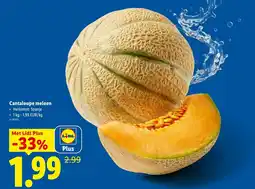 Lidl Cantaloupe meloen aanbieding