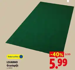 Lidl LIVARNO Grastapijt aanbieding