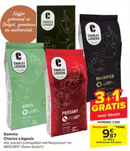 Carrefour Gamma Charles Liégeois aanbieding