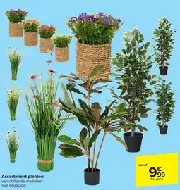 Carrefour Assortiment planten aanbieding