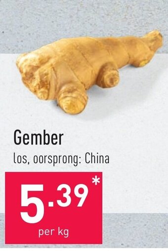ALDI Gember aanbieding