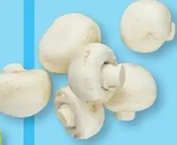 ALDI Champignons fins aanbieding