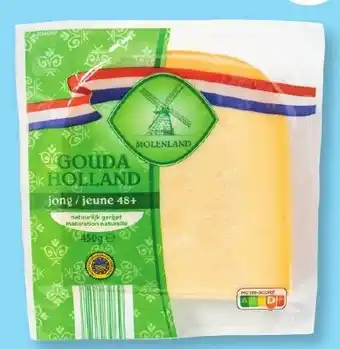 ALDI GOUDA HOLLAND aanbieding