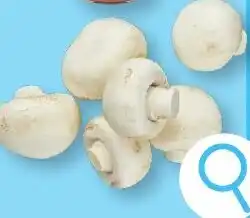 ALDI Champignons fins aanbieding