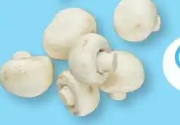 ALDI Champignons fins aanbieding