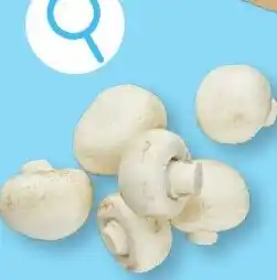 ALDI Champignons fins aanbieding