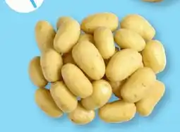 ALDI Pommes de terre primeur aanbieding