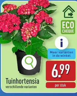 ALDI Tuinhortensia aanbieding
