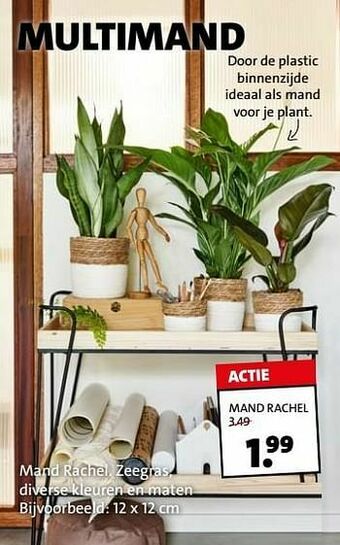 Intratuin Mand rachel aanbieding