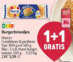 Delhaize Burgerbroodjes aanbieding