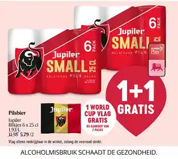 Delhaize Pilsbier aanbieding