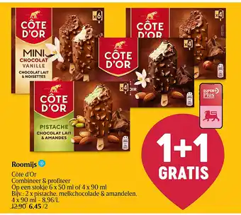 Roomijs