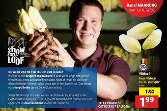Lidl Witloof aanbieding