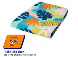Action Picknickdeken aanbieding