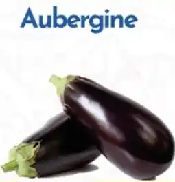 Tanger Markt Aubergine aanbieding
