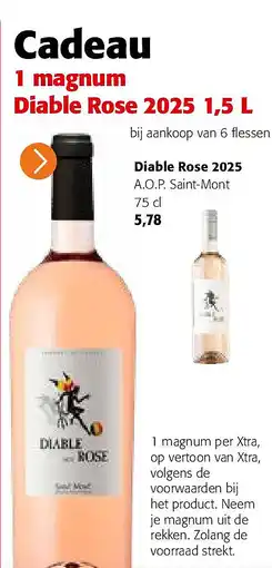 Colruyt Diable Rose 2025 A.O.P. Saint-Mont 75 cl aanbieding