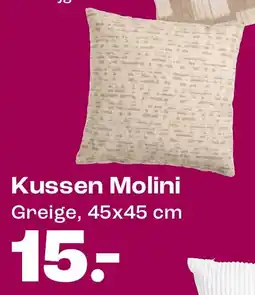 Kwantum Kussen Molini aanbieding