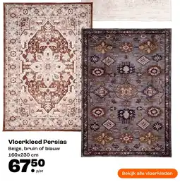 Kwantum Vloerkleed Persias aanbieding