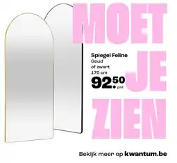 Kwantum Spiegel Feline aanbieding