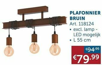 Zelfbouwmarkt Plafonnier bruin aanbieding
