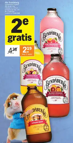 Albert Heijn Alle Bundaberg aanbieding