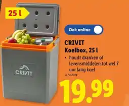 Lidl Koelbox, 251 aanbieding