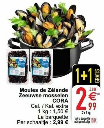 Cora Moules de zélande zeeuwse mosselen cora aanbieding