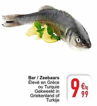 Cora Bar - zeebaars aanbieding